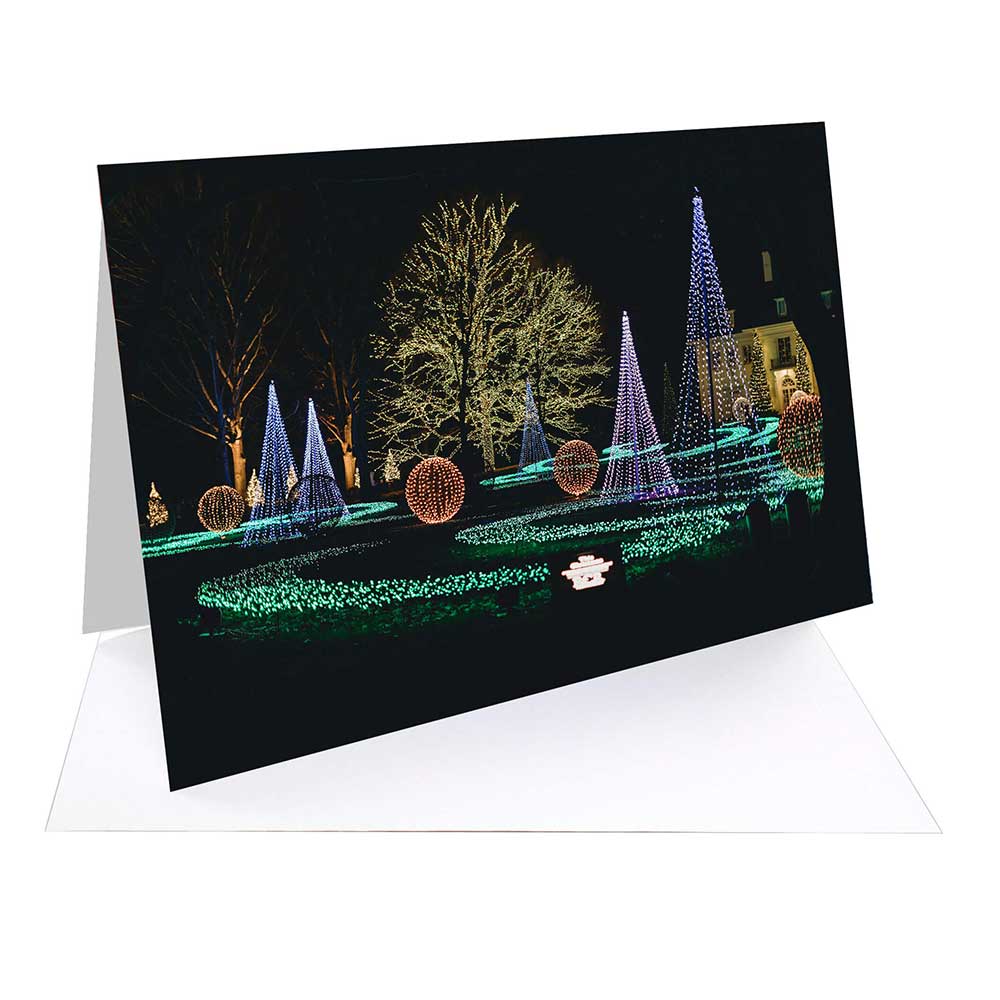 Fotospeed FOTOCARDS Smooth Cotton 300 - A6 25 cards