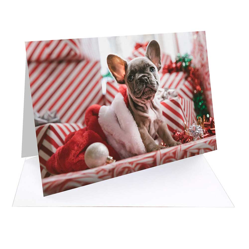 Fotospeed FOTOCARDS NST Bright White315 A6 25 cards