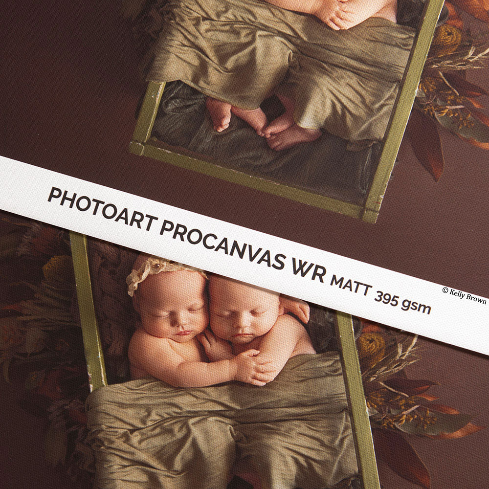 Canson PhotoArt ProCanvas Matte 395