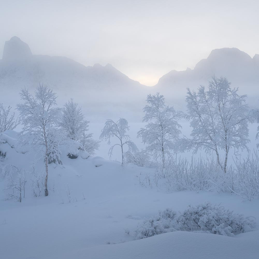 Fotospeed Academy: Creative Printing for Advanced Photographers with Joe Cornish