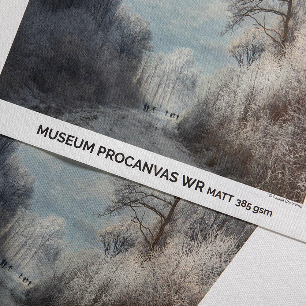 Canson Museum ProCanvas Matte 385