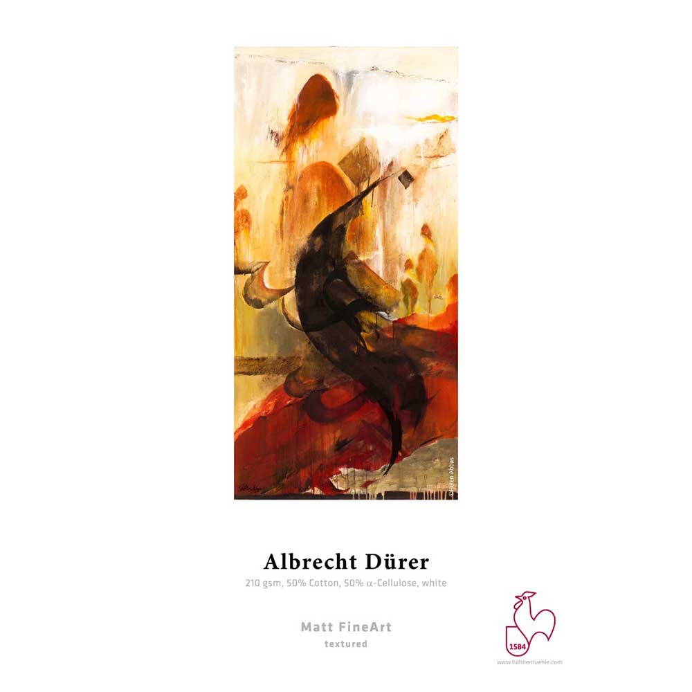 Hahnemühle Albrecht Durer 210