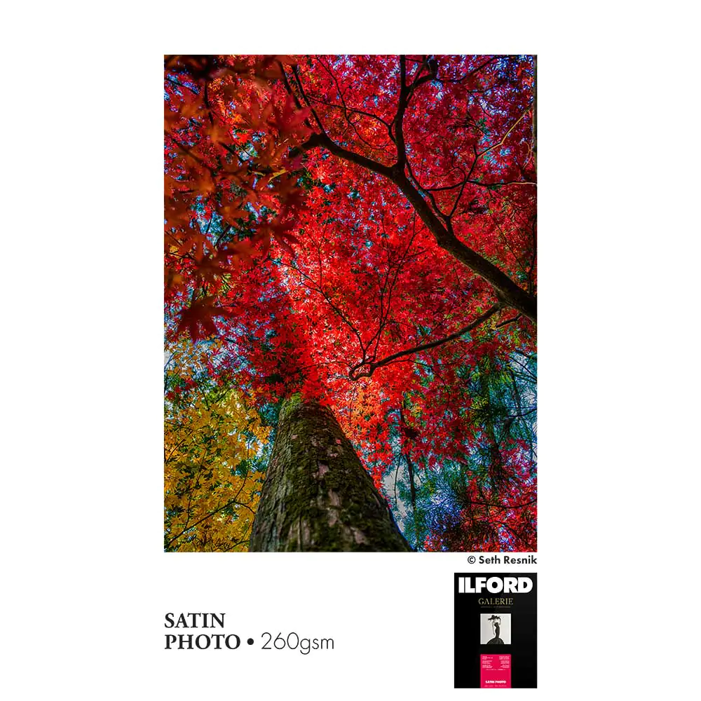 Lot De Papier Photo ILFORD – Brillant Et Satin – Occasion (ouvert)