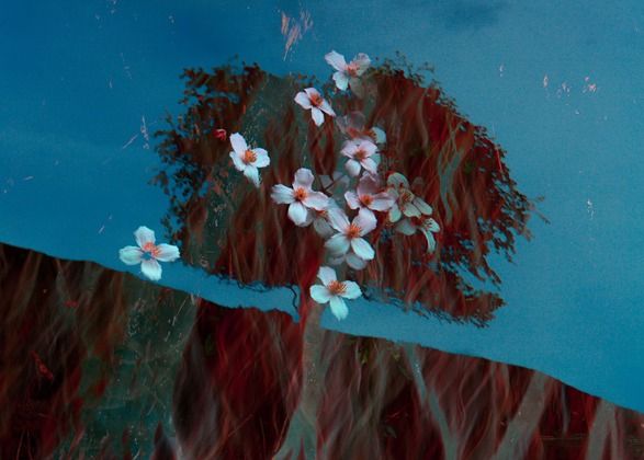 This really is my dream paper: An interview with Doug Chinnery on Cotton Etching 305
