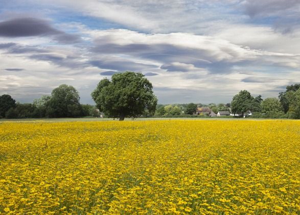 The Landscape Photographers Calendar: what to shoot in June