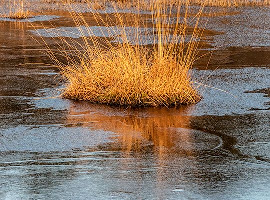 PHOTOGRAPHING THE LANDSCAPE WHATEVER THE WEATHER.- Tony Worobiec