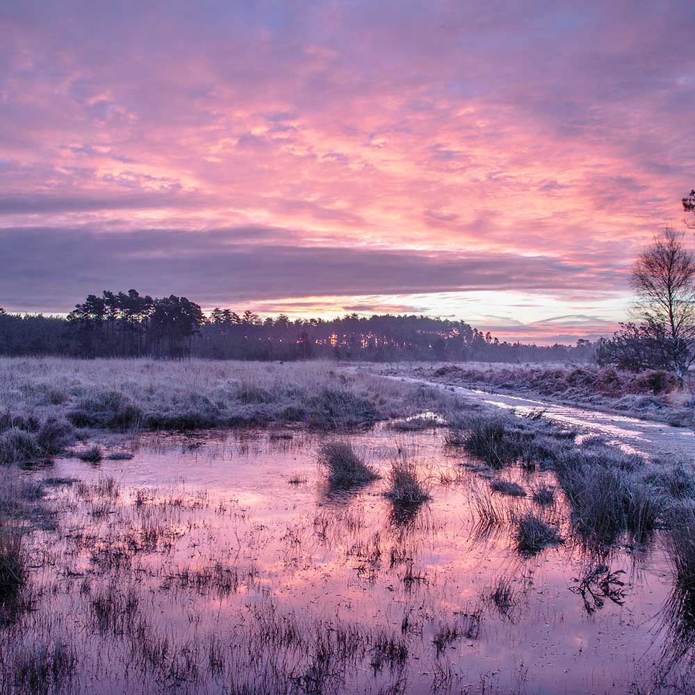 THE INTIMATE LANDSCAPE 7 : PONDS -By Tony Worobiec