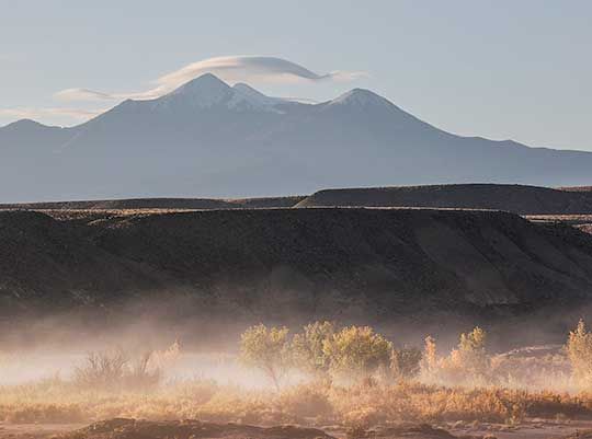 THE INTIMATE LANDSCAPE 6 : BACKLIGHTING